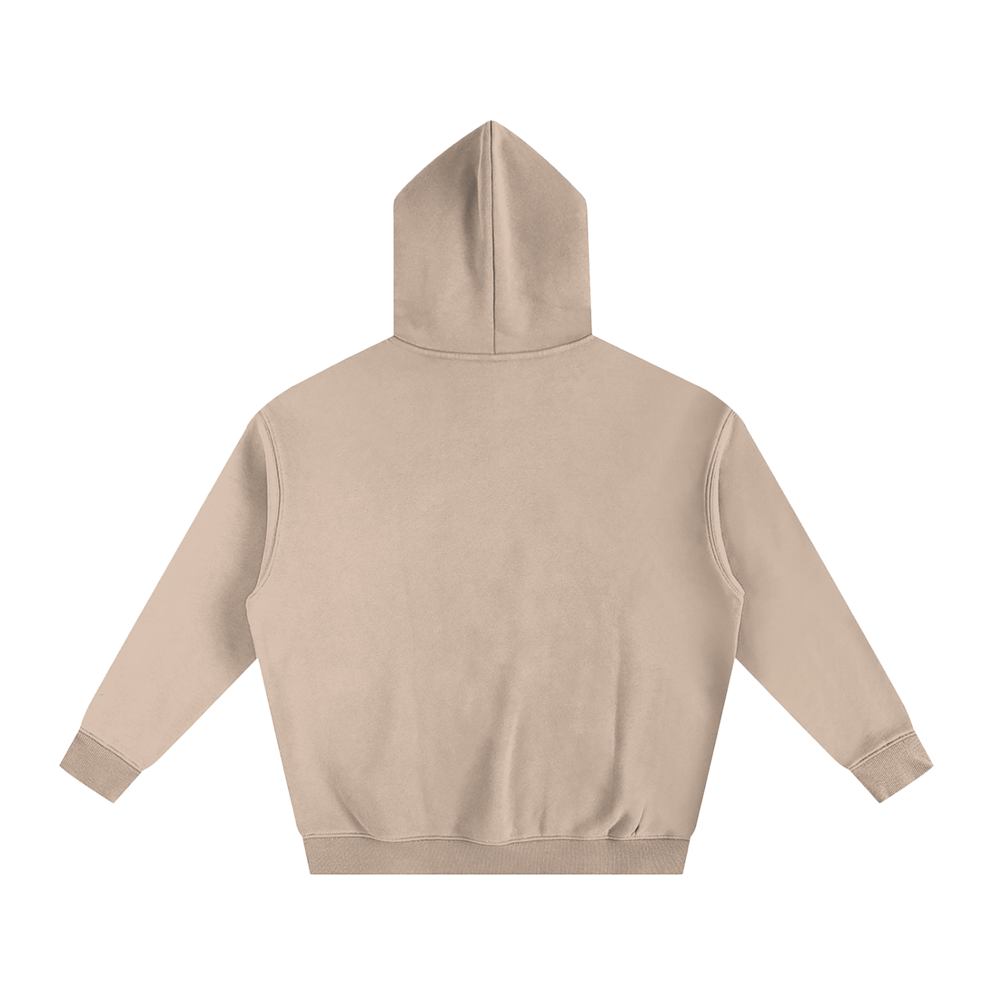 Why Not | Oversize Fleeced Hoodie
