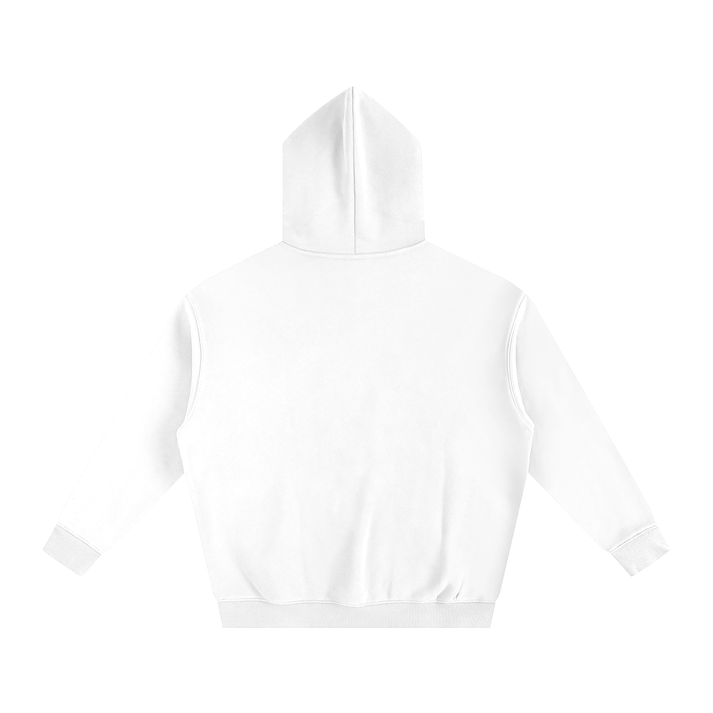 Why Not | Oversize Fleeced Hoodie
